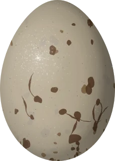 Smith's Longspur egg, 21 × 15 mm