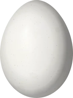 Illustration of a Smoky-brown Woodpecker (Leuconotopicus fumigatus) egg, 23.9 × 17.8 mm