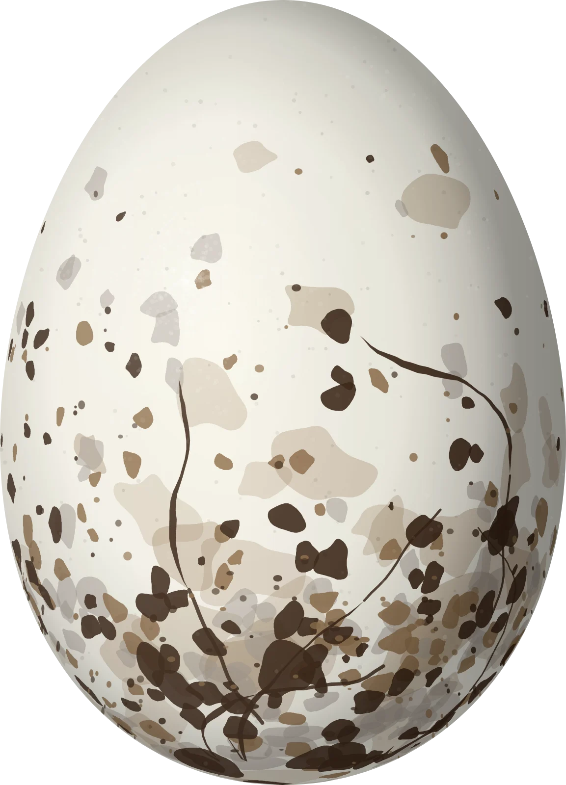 Illustration of a Snow Bunting (Plectrophenax nivalis) egg, 22.9 × 16.5 mm