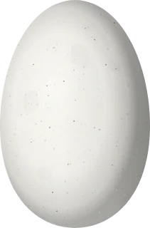 Illustration of a Snowcap (Microchera albocoronata) egg, 13.5 × 8.9 mm