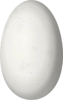 Illustration of a Snowy-bellied Hummingbird (Saucerottia edward) egg, 14.4 × 9.1 mm