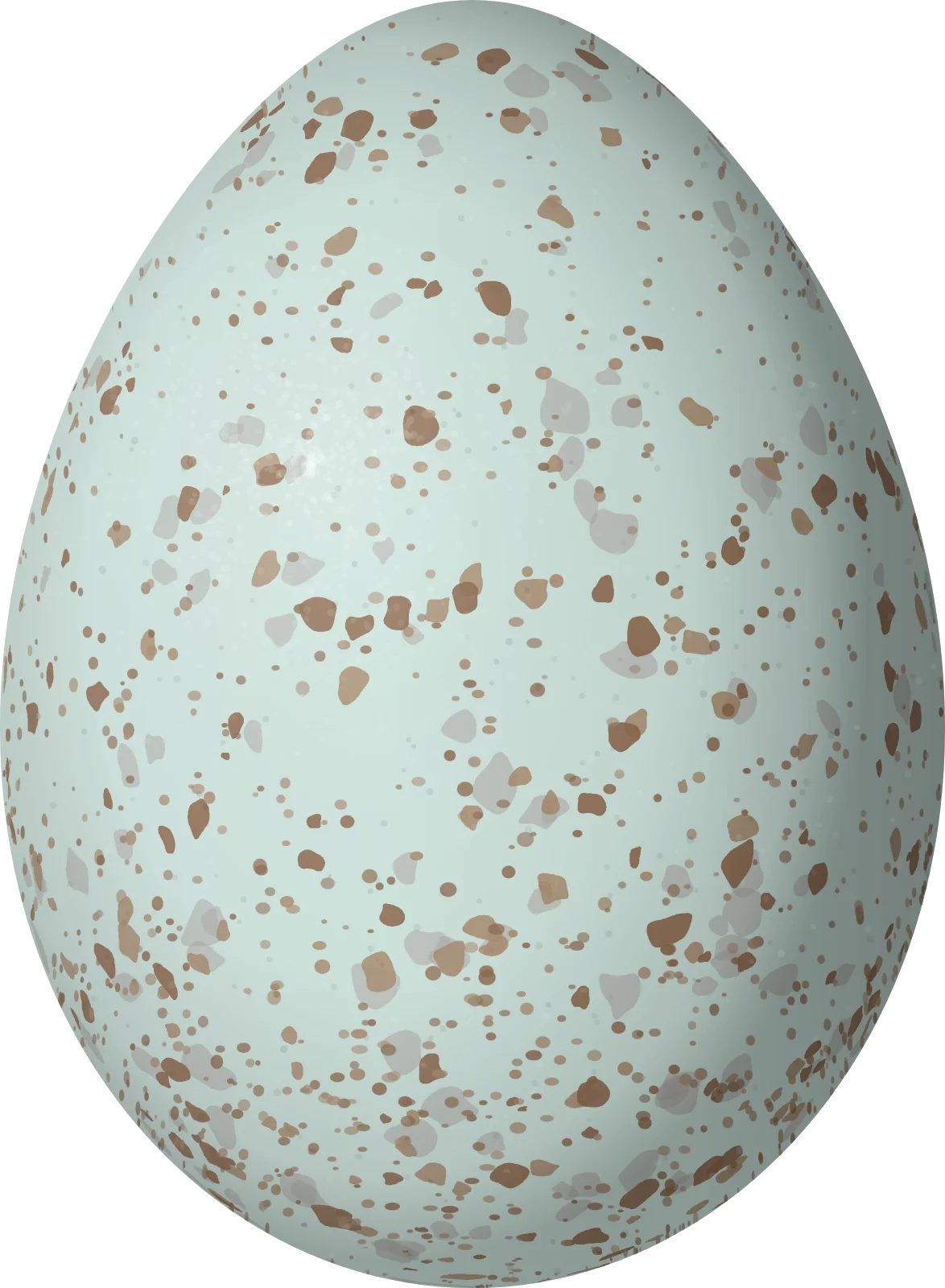 Illustration of a Socorro Mockingbird (Mimus graysoni) egg, 26.3 × 19.3 mm