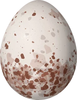 Illustration of a Socorro Wren (Troglodytes sissonii) egg, 16.9 × 13 mm