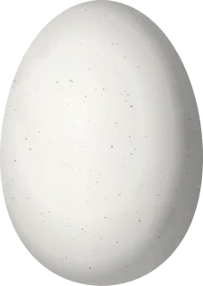Illustration of a Sombre Hummingbird (Eupetomena cirrochloris) egg, 15.5 × 11 mm