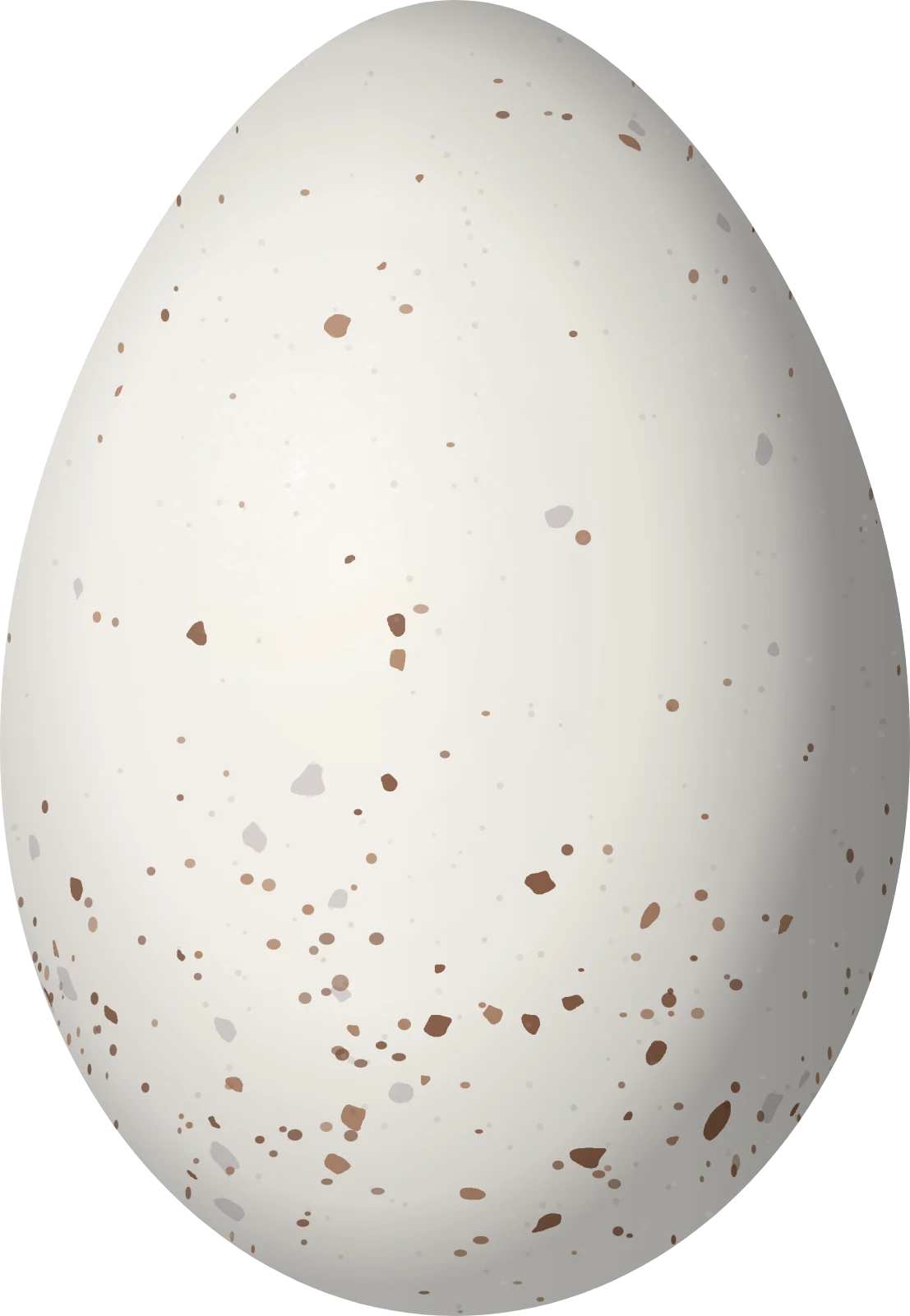 Illustration of a Song Wren (Cyphorhinus phaeocephalus) egg, 24 × 16.6 mm