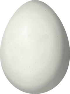 Illustration of a Sooty-fronted Spinetail (Synallaxis frontalis) egg, 20.49 × 15.29 mm