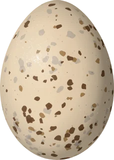 Sora egg, 31.5 × 22.5 mm