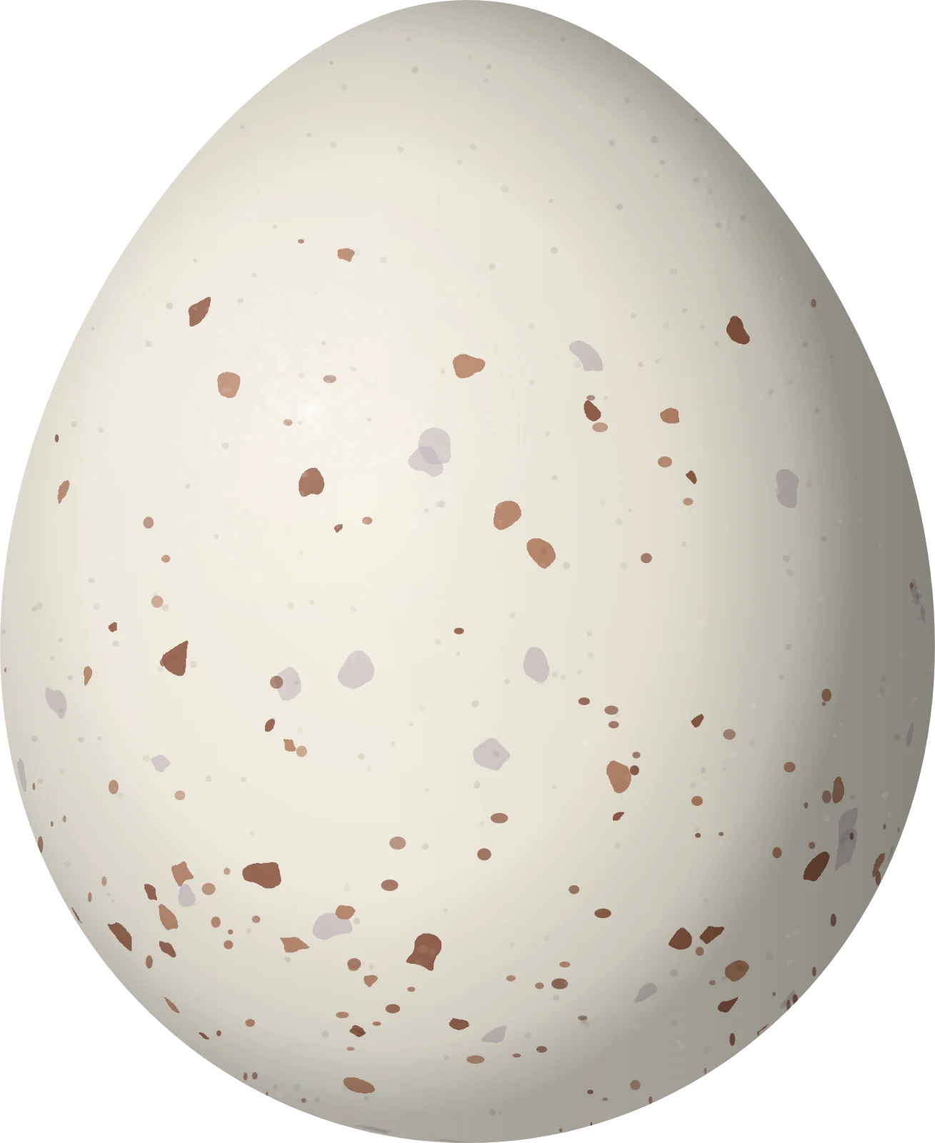 Illustration of a Southern Beardless Tyrannulet (Camptostoma obsoletum) egg, 16.2 × 13.25 mm