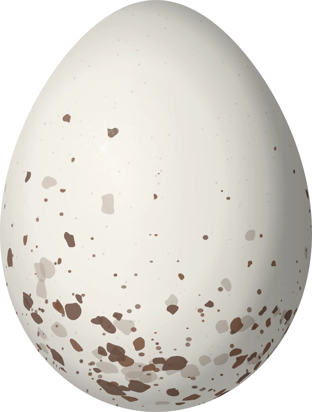 Illustration of a Southern Bristle Tyrant (Pogonotriccus eximius) egg, 18.6 × 14.1 mm
