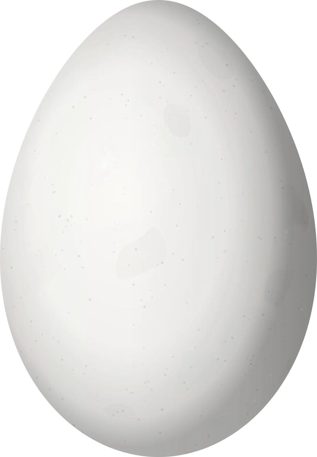Illustration of a Southern Rough-winged Swallow (Stelgidopteryx ruficollis) egg, 18.5 × 12.83 mm