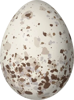 Illustration of a Spangle-cheeked Tanager (Tangara dowii) egg, 20.6 × 15.2 mm