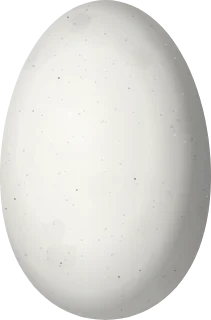 Illustration of a Sparkling-tailed Woodstar (Tilmatura dupontii) egg, 13.5 × 8.9 mm