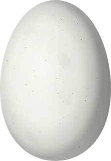 Illustration of a Sparkling Violetear (Colibri coruscans) egg, 14.9 × 10.3 mm