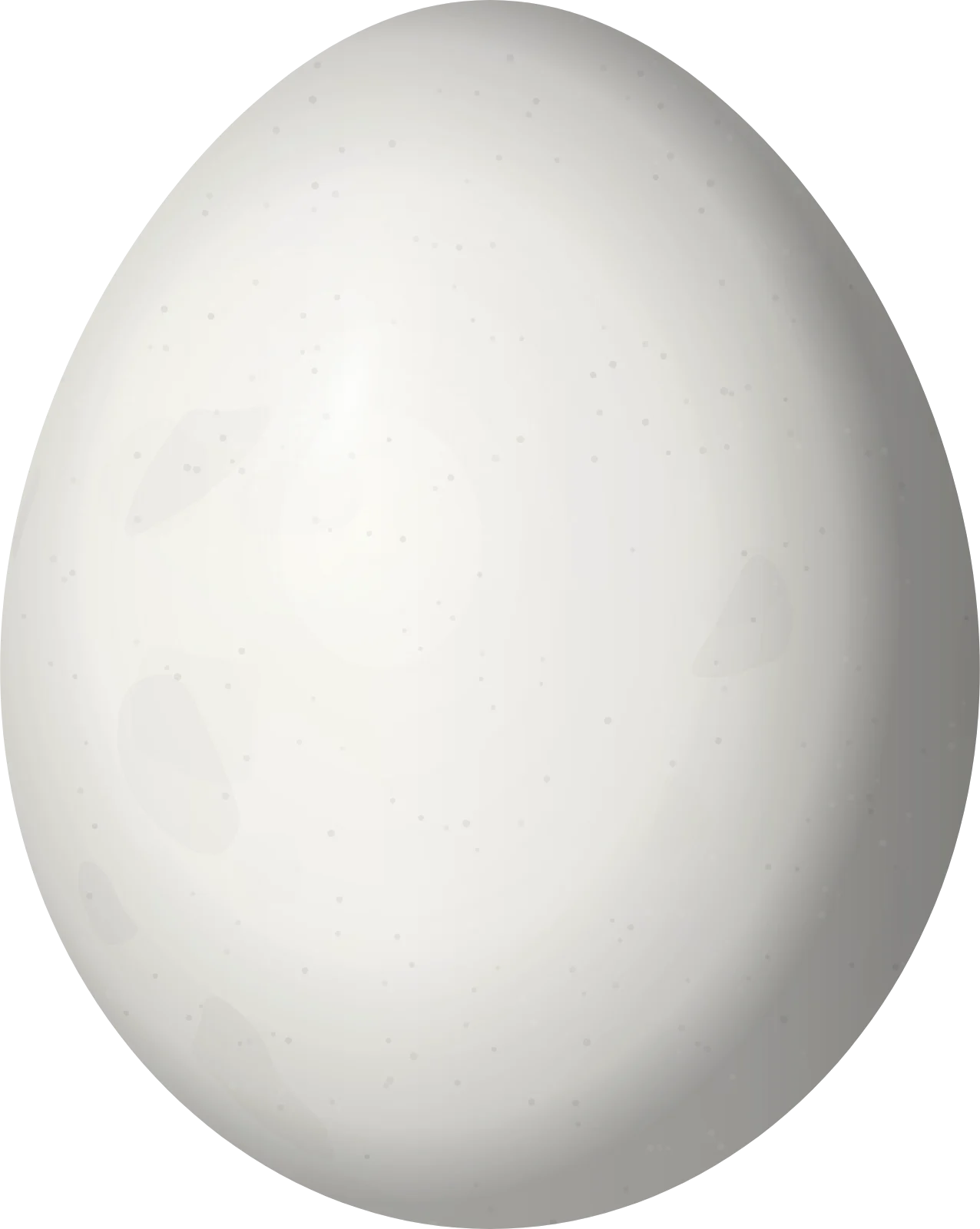 Illustration of a Speckle-chested Piculet (Picumnus steindachneri) egg, 15.3 × 12.2 mm