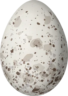 Illustration of a Speckled Tanager (Ixothraupis guttata) egg, 21.6 × 15.3 mm