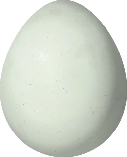 Illustration of a Spix's Spinetail (Synallaxis spixi) egg, 18.9 × 15.34 mm