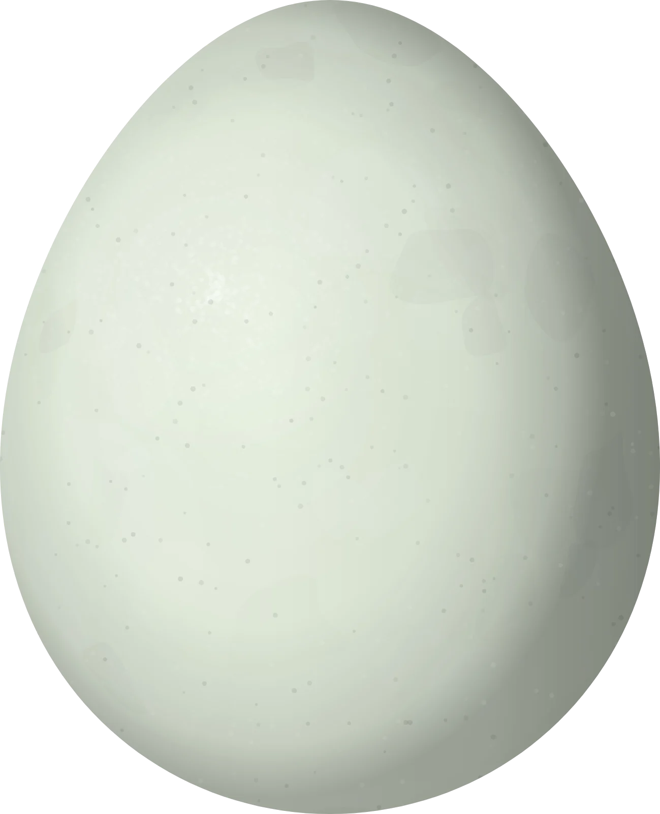 Illustration of a Spix's Spinetail (Synallaxis spixi) egg, 18.9 × 15.34 mm