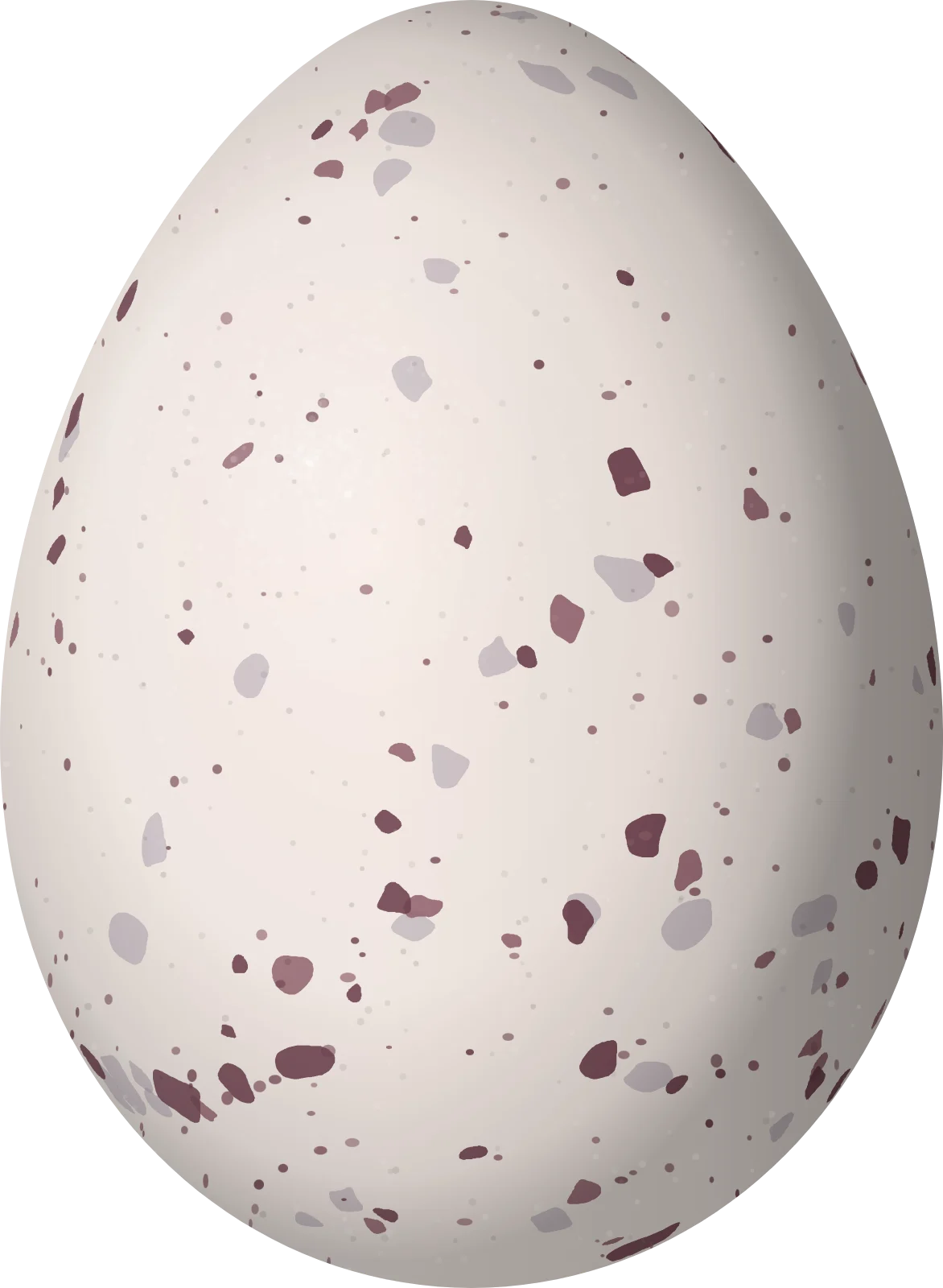 Illustration of a Spix's Warbling Antbird (Hypocnemis striata) egg, 19.8 × 14.5 mm