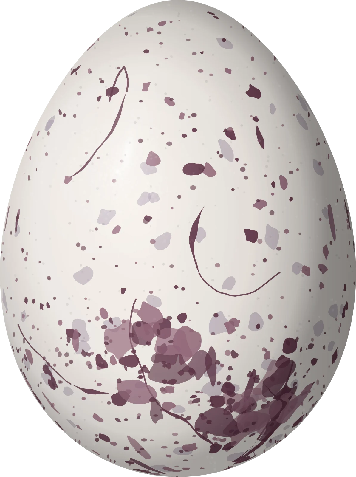 Illustration of a Spot-backed Antshrike (Hypoedaleus guttatus) egg, 28.8 × 21.5 mm