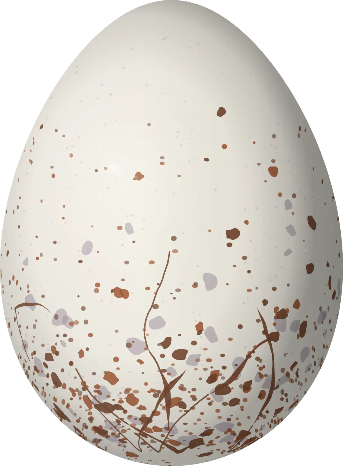 Illustration of a Spot-backed Antwren (Herpsilochmus dorsimaculatus) egg, 22 × 16.2 mm