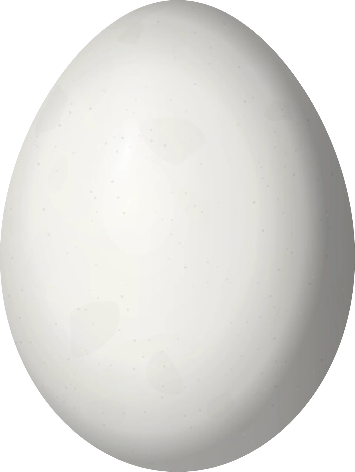 Illustration of a Spot-breasted Woodpecker (Colaptes punctigula) egg, 25.1 × 18.9 mm