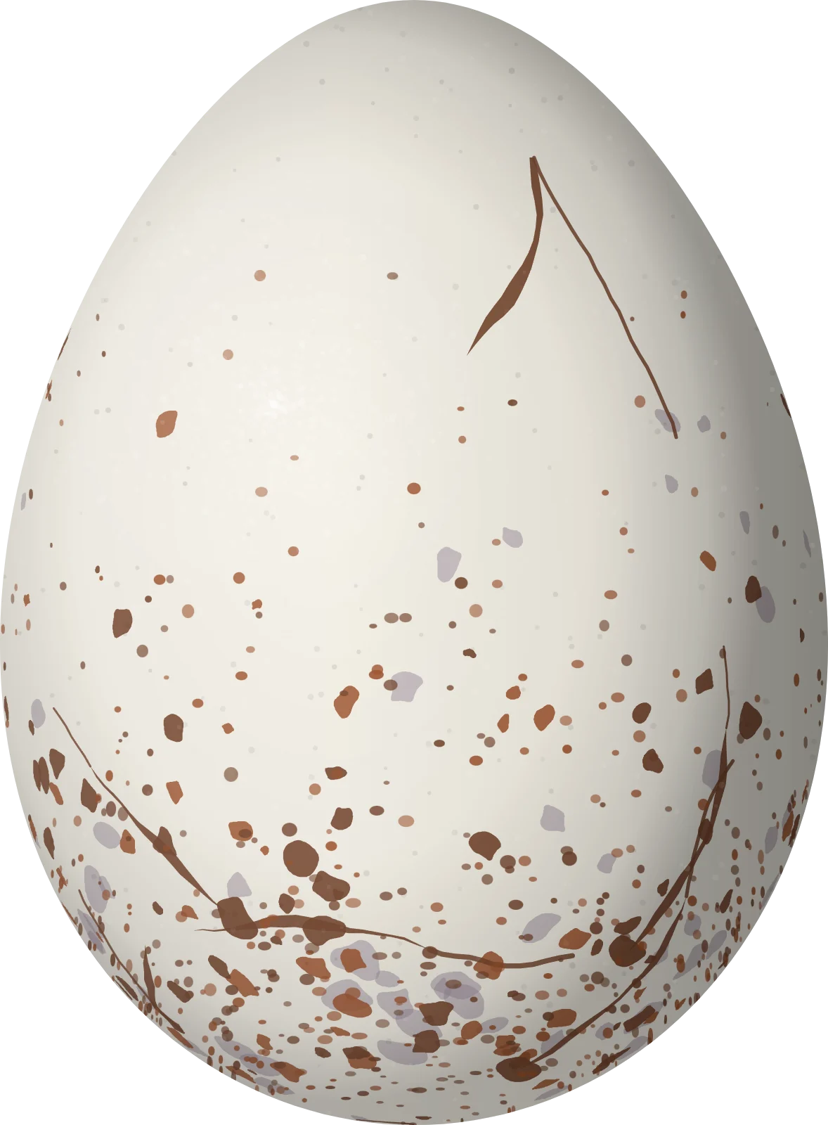 Illustration of a Spot-tailed Antwren (Herpsilochmus sticturus) egg, 22 × 16.2 mm
