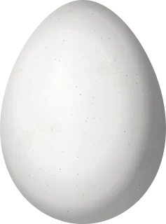 Illustration of a Spot-throated Woodcreeper (Certhiasomus stictolaemus) egg, 24.3 × 18 mm