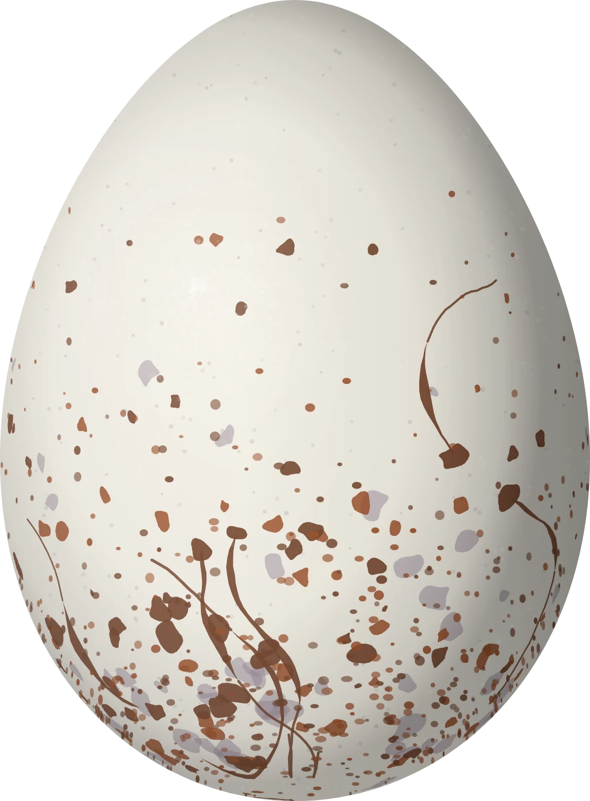 Illustration of a Spot-winged Antshrike (Pygiptila stellaris) egg, 22 × 16.2 mm