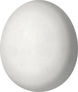 Spotted Owl egg, 51.5 × 44 mm