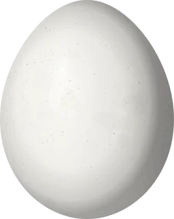 Illustration of a Spotted Piculet (Picumnus pygmaeus) egg, 15.3 × 12.2 mm