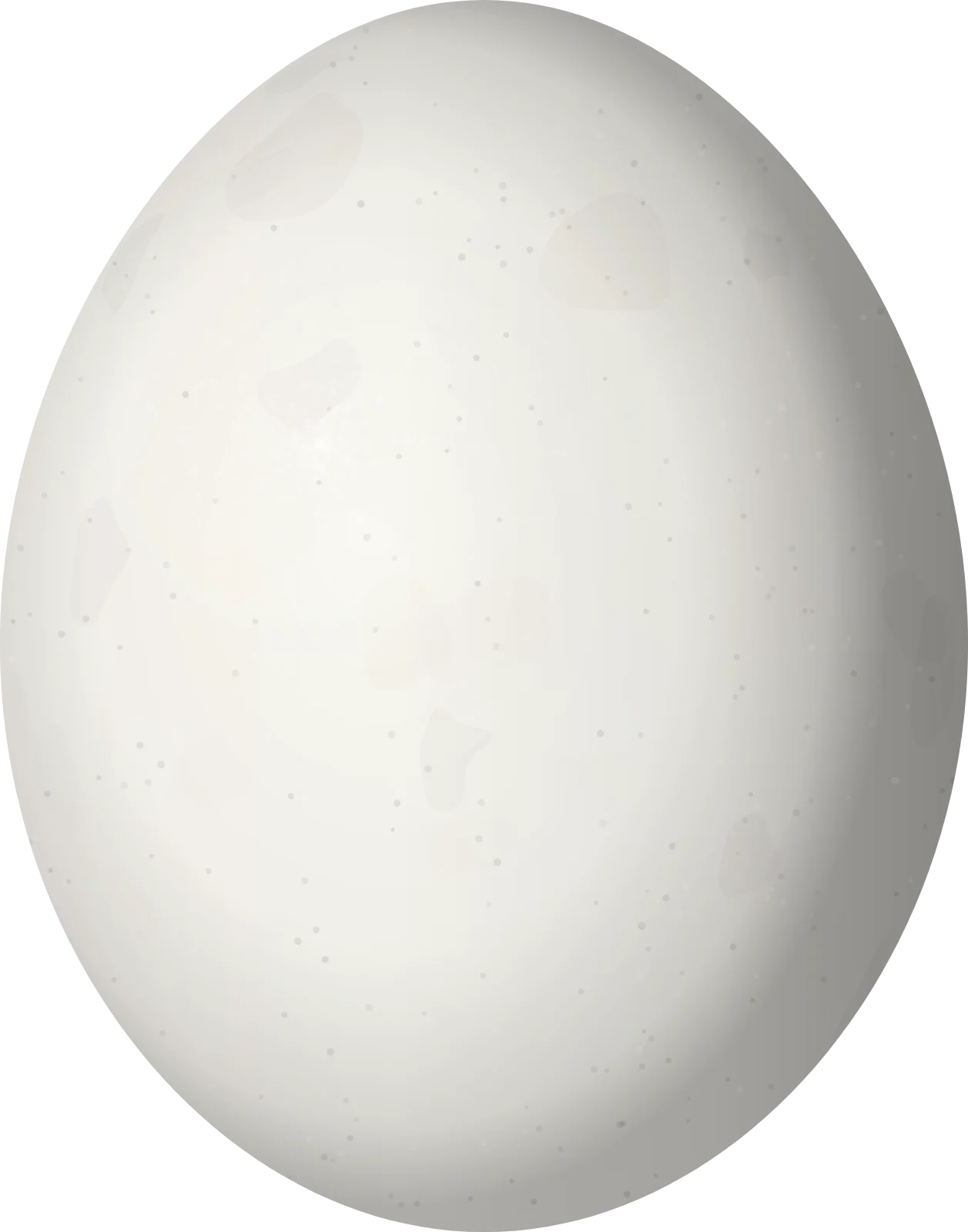 Illustration of a St. Lucia Amazon (Amazona versicolor) egg, 42 × 33 mm