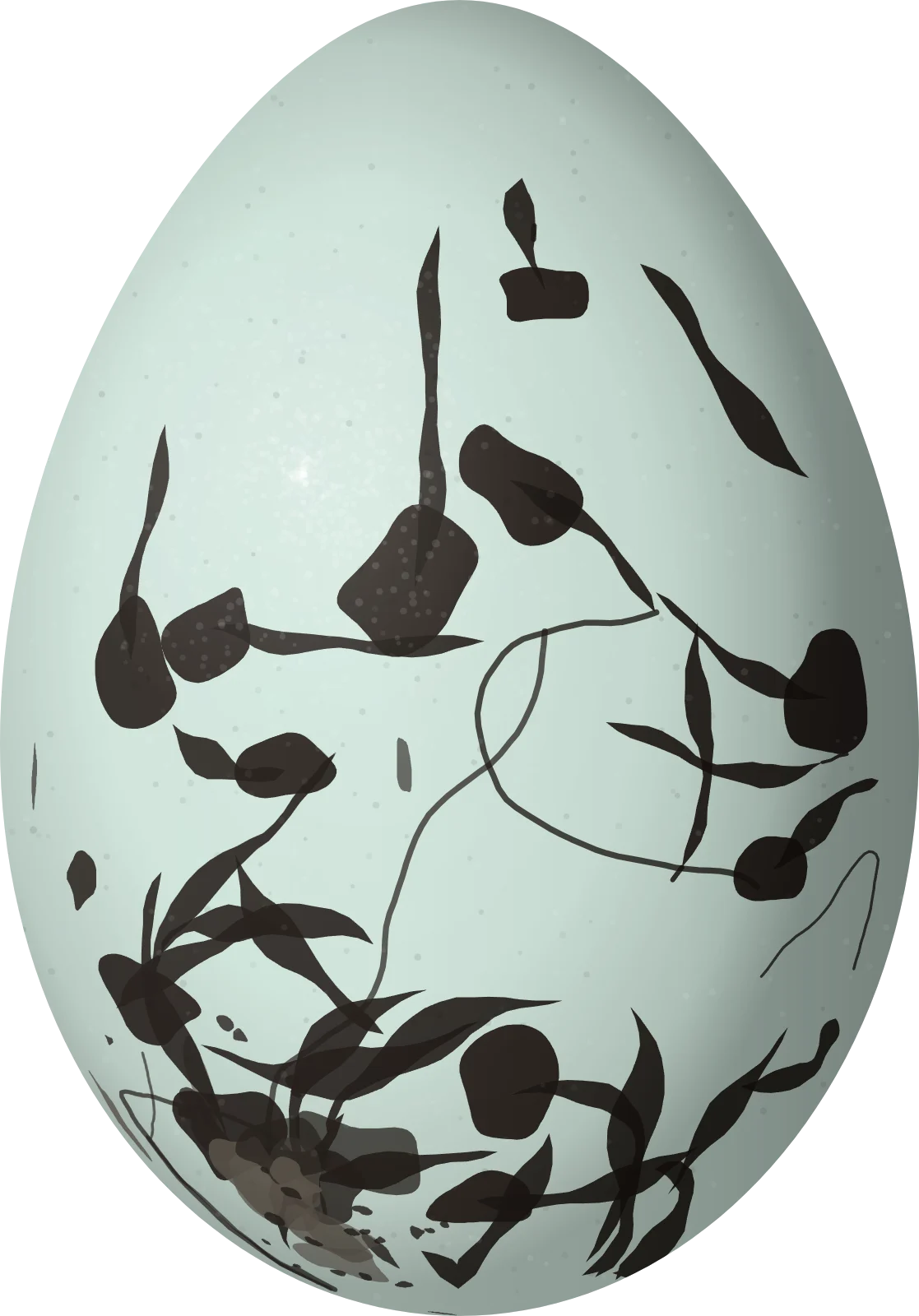 Illustration of a St. Lucia Oriole (Icterus laudabilis) egg, 24.2 × 16.9 mm