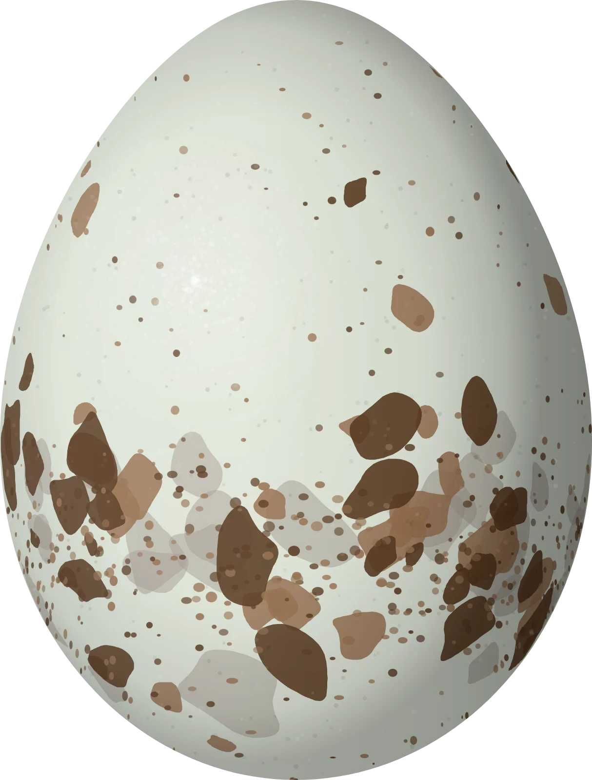 Illustration of a St. Lucia Warbler (Setophaga delicata) egg, 17 × 12.9 mm