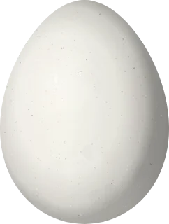 Illustration of a Steinbach's Canastero (Pseudasthenes steinbachi) egg, 20.9 × 15.8 mm