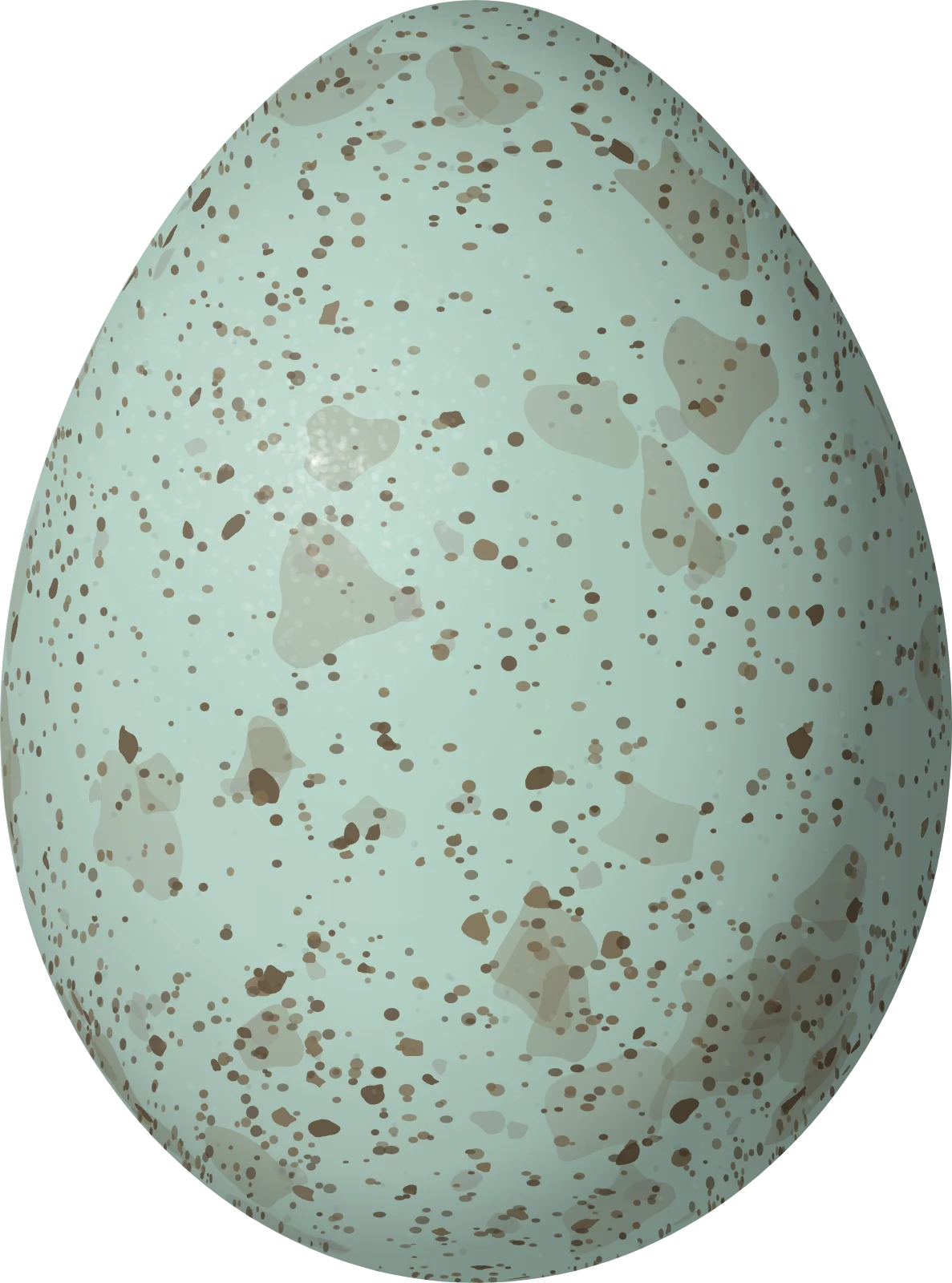 Illustration of a Steller's Jay (Cyanocitta stelleri) egg, 31.5 × 23.37 mm