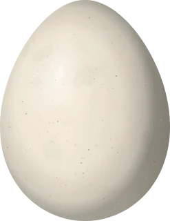 Illustration of a Stout-billed Cinclodes (Cinclodes excelsior) egg, 28.5 × 22 mm