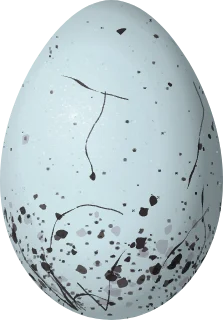 Illustration of a Streaked Saltator (Saltator striatipectus) egg, 25.7 × 17.9 mm