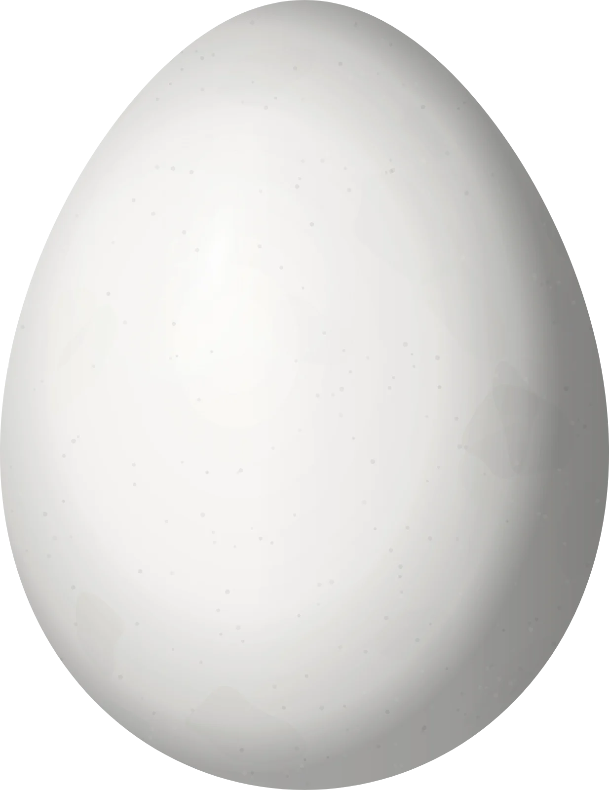 Illustration of a Striolated Tit-Spinetail (Leptasthenura striolata) egg, 17.5 × 13.5 mm