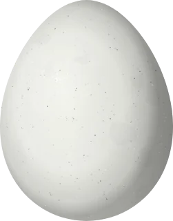 Illustration of a Stripe-breasted Spinetail (Synallaxis cinnamomea) egg, 19.1 × 15 mm