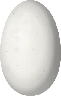 Illustration of a Stripe-breasted Starthroat (Heliomaster squamosus) egg, 14 × 8.9 mm