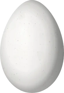 Illustration of a Stripe-breasted Wren (Cantorchilus thoracicus) egg, 20.3 × 14 mm