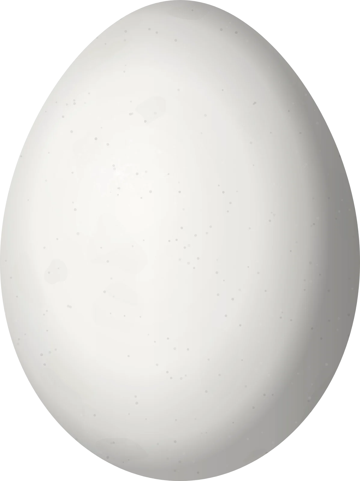 Illustration of a Stripe-cheeked Woodpecker (Piculus callopterus) egg, 23 × 17.2 mm