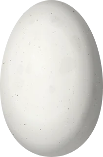 Illustration of a Stripe-tailed Hummingbird (Eupherusa eximia) egg, 13.5 × 8.9 mm