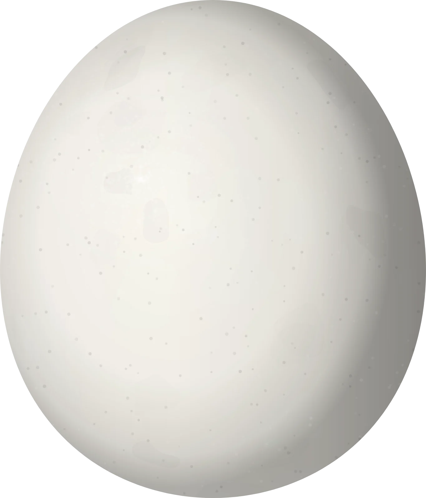 Illustration of a Striped Owl (Asio clamator) egg, 41 × 35 mm