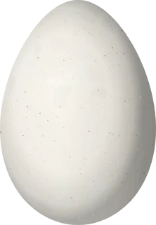 Illustration of a Striped Treehunter (Thripadectes holostictus) egg, 29.8 × 20.7 mm