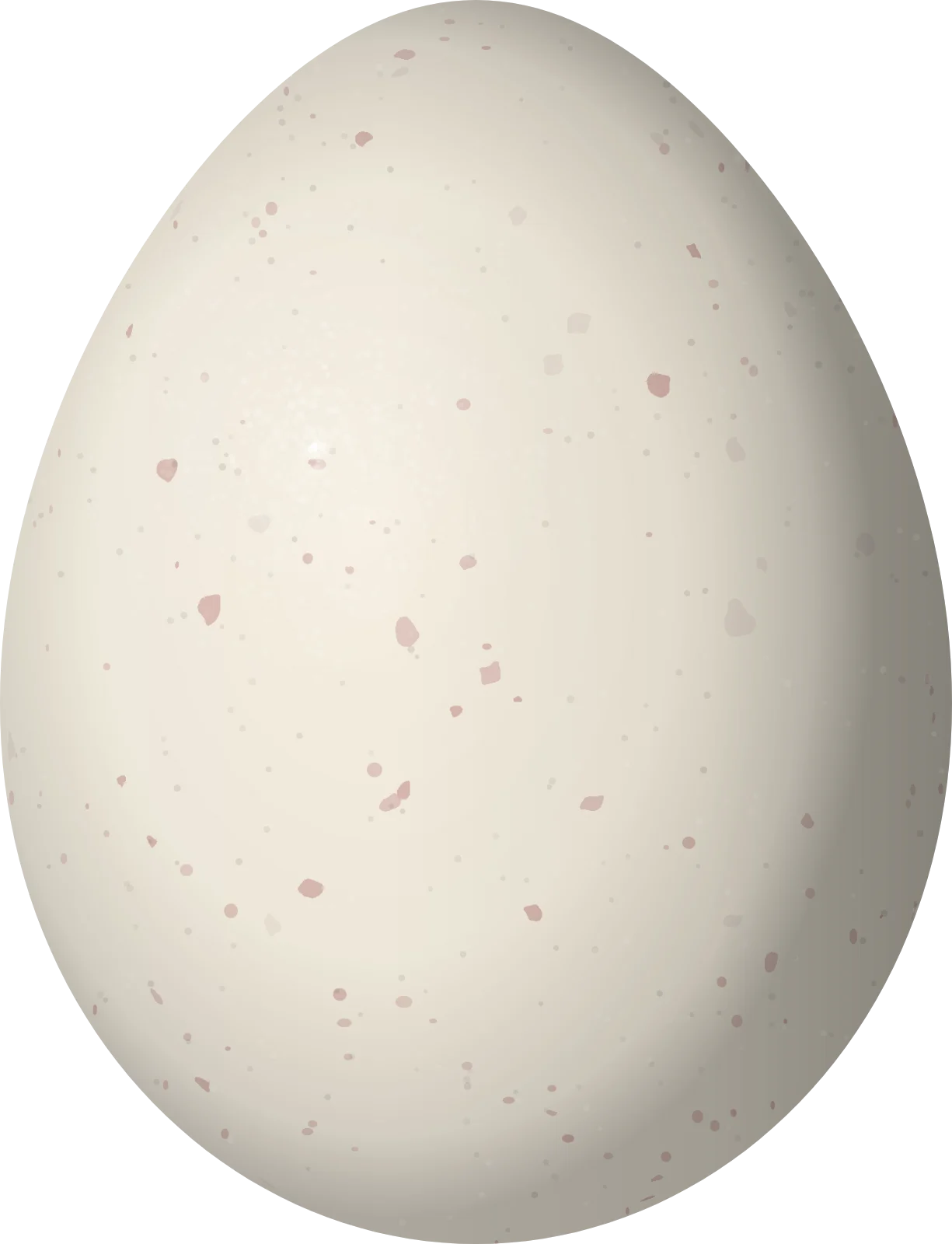 Illustration of a Subtropical Doradito (Pseudocolopteryx acutipennis) egg, 16.2 × 12.4 mm