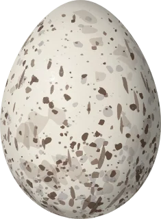 Illustration of a Sulphur-throated Finch (Sicalis taczanowskii) egg, 19.9 × 14.6 mm