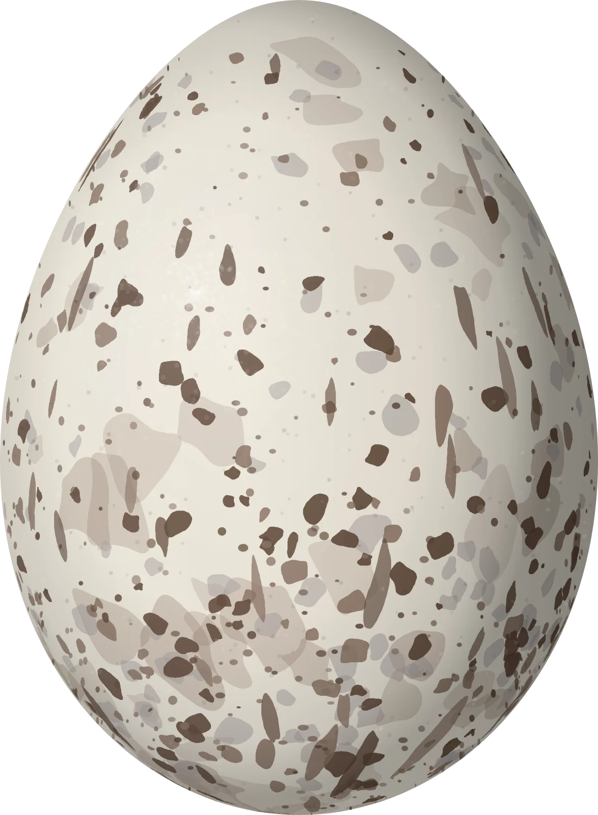 Illustration of a Sulphur-throated Finch (Sicalis taczanowskii) egg, 19.9 × 14.6 mm