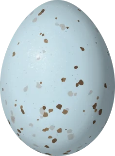 Summer Tanager egg, 23.1 × 17.1 mm