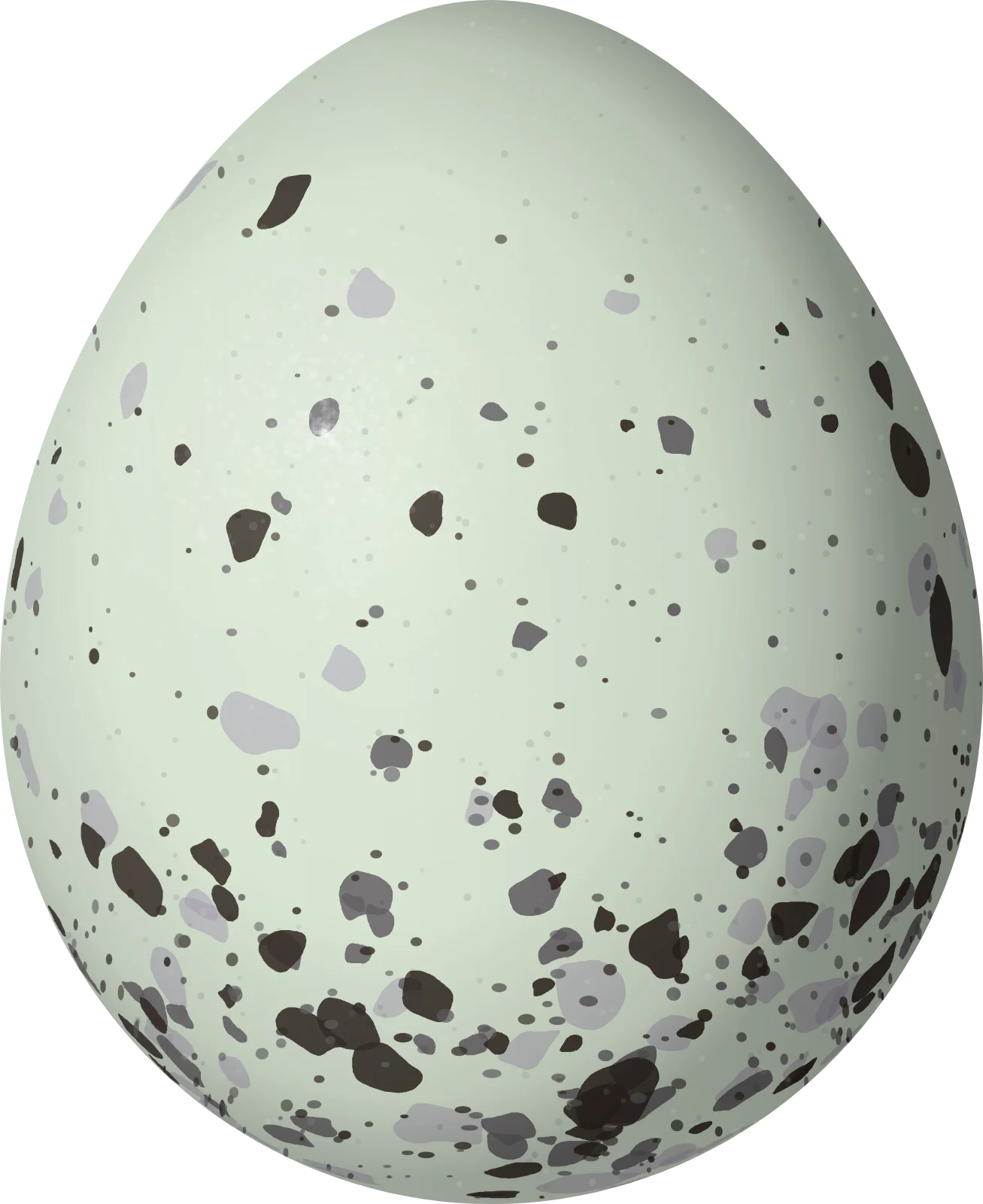 Illustration of a Swallow-tailed Cotinga (Phibalura flavirostris) egg, 22.9 × 18.7 mm